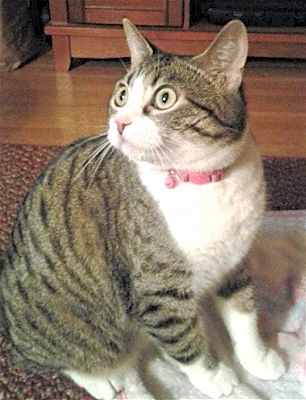 Photo of Abby #image