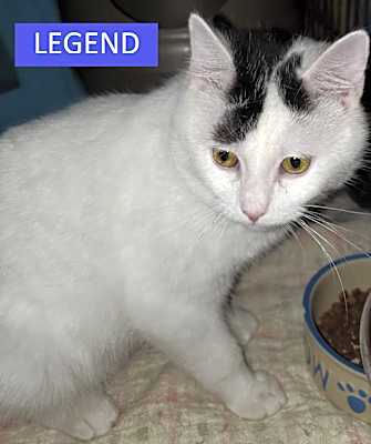 Photo of Legend #image