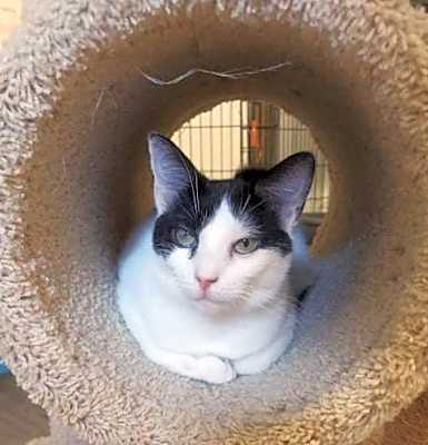 Photo of Penelope #image
