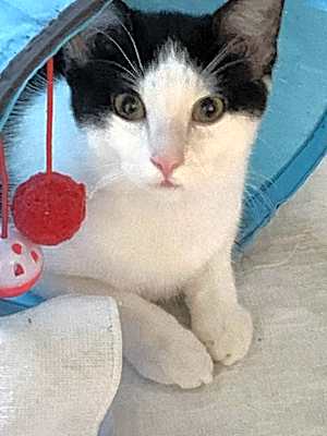 Photo of Hampton #image