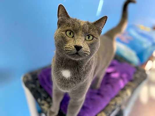 Photo of Maggie #image