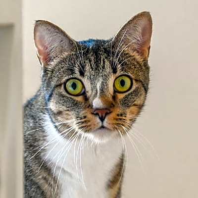 Photo of Gretchen #image