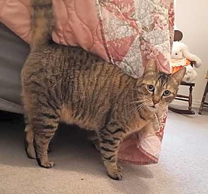 Photo of Layla #image