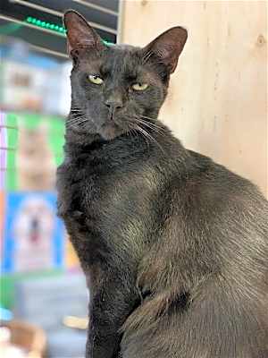 Photo of George #image
