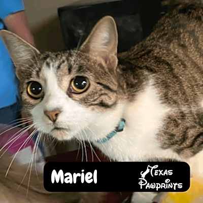 Photo of Mariel #image
