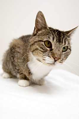 Photo of Mia #image