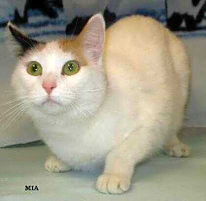 Photo of Mia #image