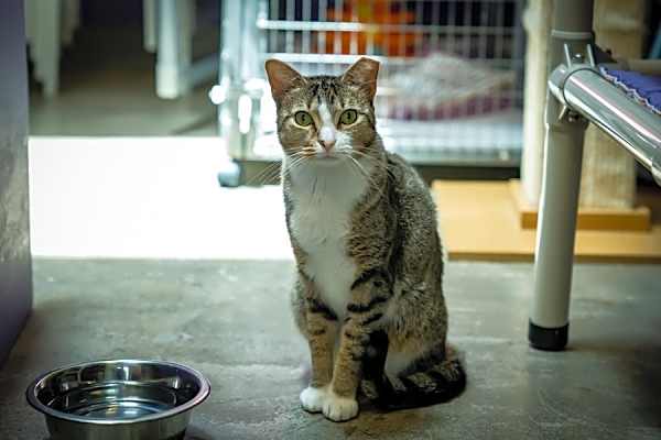 Photo of Marcy #image