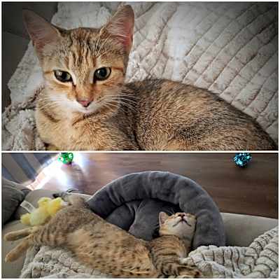 Photo of Nalya #image