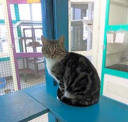 Photo of Molly #image