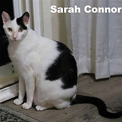 Photo of Sarah Conner (Napa HM) #image