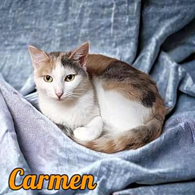 Photo of Carmen #image