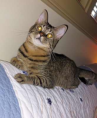 Photo of Chloe #image
