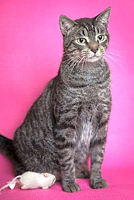 Photo of Theodore #image