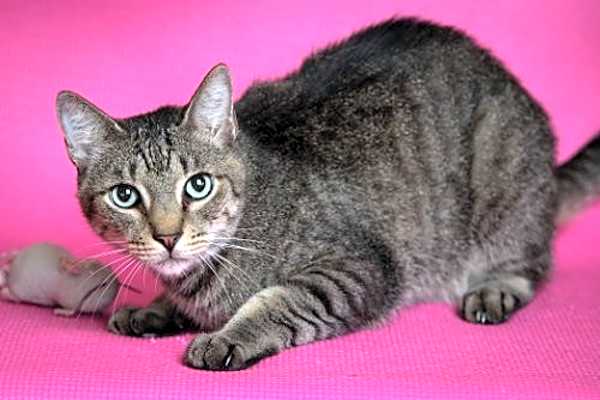 Photo of Harold #image