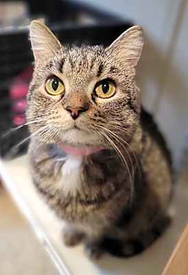 Photo of Missy #image