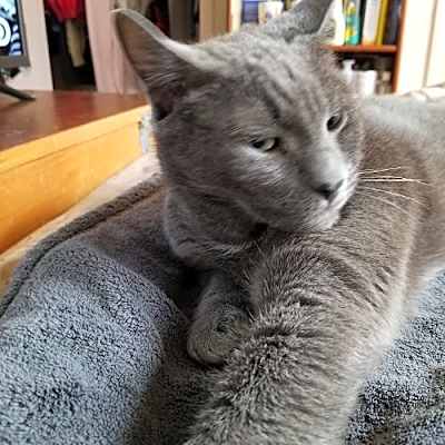 Photo of BUDDY #image