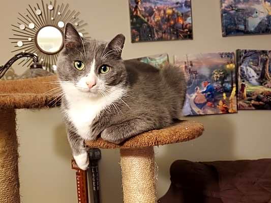 Photo of Pinky #image