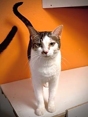 Photo of Endora #image