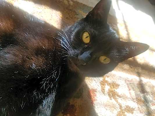 Photo of Mama #image