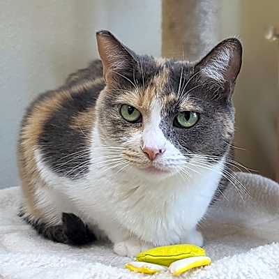 Photo of Delilah #image