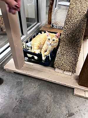 Photo of Colby #image