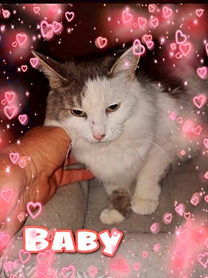 Photo of Baby #image