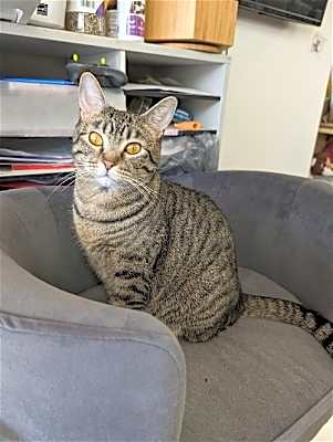 Photo of Amber #image
