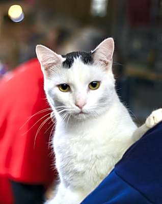 Photo of Duncan #image