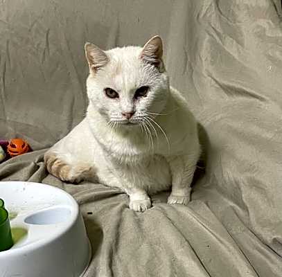 Photo of Murphy #image