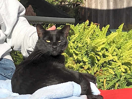 Photo of BB Snuggles #image