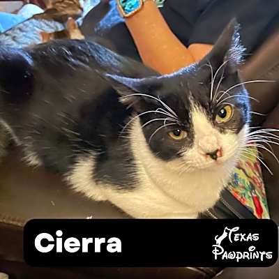 Photo of Cierra #image