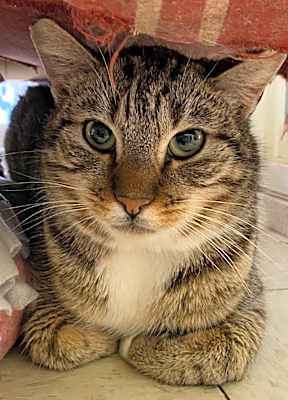 Photo of JEFFIE #image