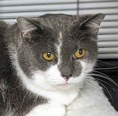 Photo of Suzy #image