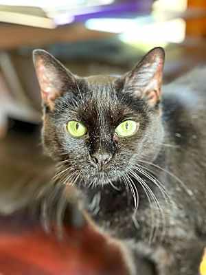 Photo of Sabrina #image