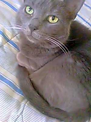 Photo of Jackson #image
