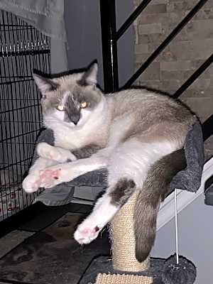 Photo of Precious #image
