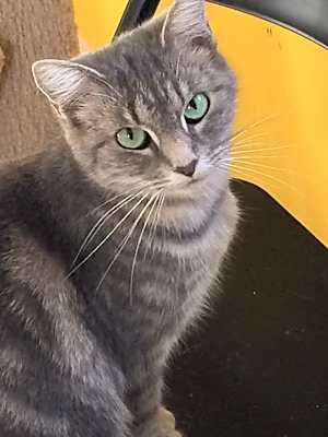 Photo of KIWI! #image