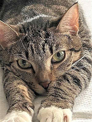 Photo of CROIXX #image