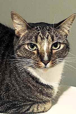Photo of Sulu #image