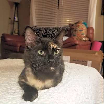 Photo of Mona #image
