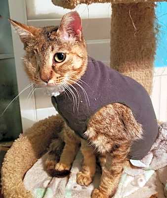 Photo of Sandy #image