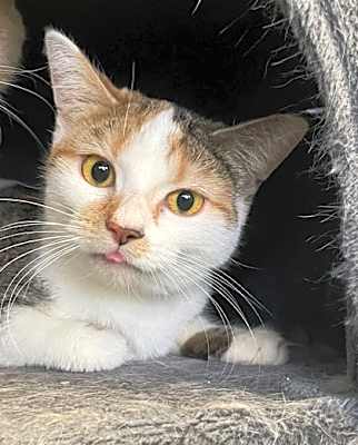 Photo of Alice #image