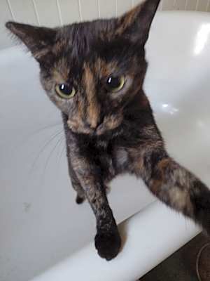 Photo of Fiona #image