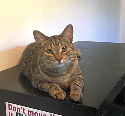 Photo of Spice #image