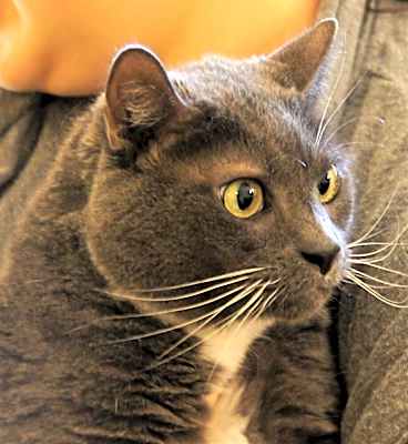 Photo of Charlie #image