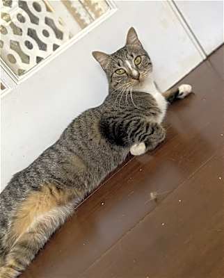 Photo of Karma #image