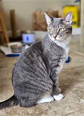 Photo of Buster #image