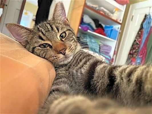 Photo of Slurpee #image
