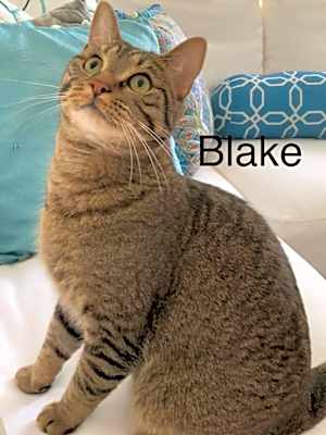 Photo of Blake #image